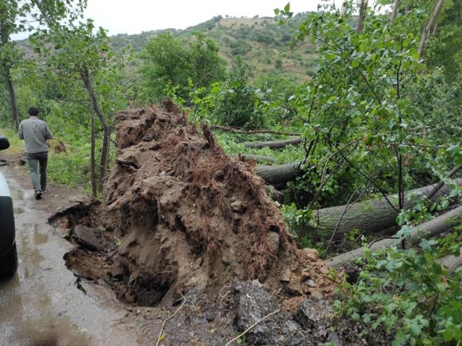Saruhanl Halitpaa Mahallesi'nde S.K'ye (34) ait evin ats, frtnann iddetiyle uarak mahalledeki elektrik kablolarn kopard.    Bykbelen Mahallesi'nde de mevsimlik iilerin kald 9 adr, frtna sebebiyle yerinden skld.  Manisa'y saanak ve frtna vurdu - 14