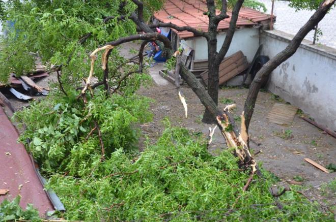 Alaehir Kozluca Mahallesi'nde ar ya nedeniyle tarm alanlar zarar grd.  Girelli Mahallesi'nde ar ya ve frtna nedeniyle bir aa, otomobilin zerine devrildi.