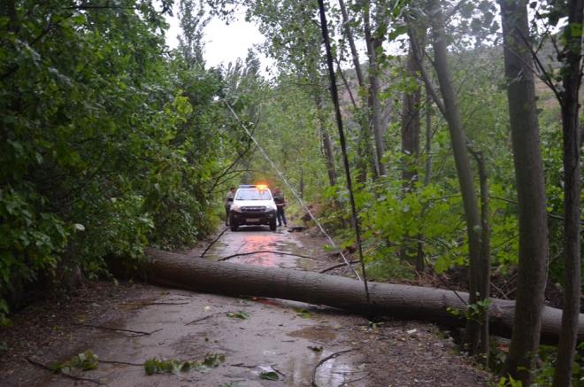 Demirci'de Hisar Kaplcas mevkisinde de 20'ye yakn kavak aac skld. Yola devrilen bir aa, trafik akn engelledi.