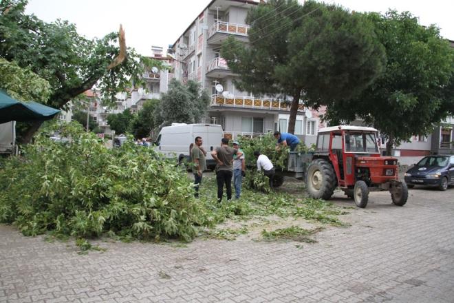 niversite Caddesi'nde bir marketin alan, zerine demir gnelik dmesi sonucu yaraland. Yaral, Demirci Devlet Hastanesine kaldrld.