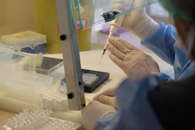 Aratrma ekibinin banda yer alan Mikrobiyoloji Anabilim Dal Bakan Prof. Dr. Sinem Akal, "Ocak ay itibariyle salk alanlarnn alanmasn baladktan sonra biz de niversitemiz hastanesinde alanlarnda bir antikor takibi almas balattk. 1053 salk alanndan 820 tanesi bize geri dn yaparak kanlarn verdiler. lk alma sonularna gre antikor dzeylerinin salk alanlarnda 3. ay sonunda dm olduunu fark ettik" deerlendirmesinde bulundu.