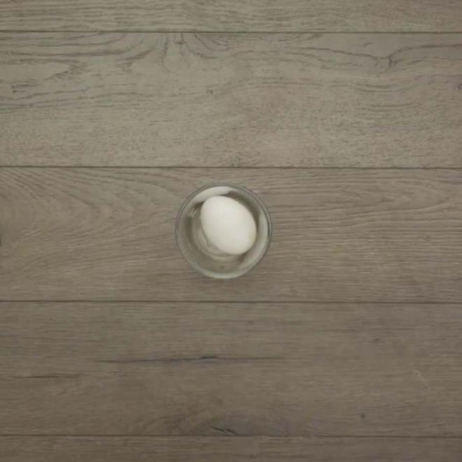 Bir adet yumurtay su bardann iine koyun.