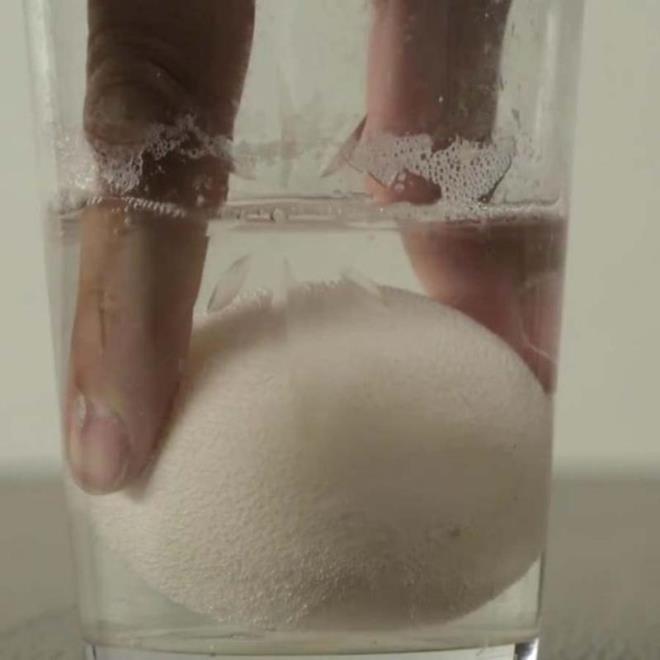 24 saat boyunca bu suda bekletin.