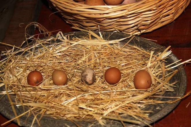 Sfr atk projesiyle balad<br>    Sfr atk projesine katk salamak iin fabrikadan kan bitkilerin posalarn atmak yerine tavuklara yem olarak vermeye baladklarn aklayan Akar, ?Bizim amacmz fabrikamzdaki yal tohum ve atk malzemeden sfr atk projesinde deerlendirme ile balad. Bu malzemeleri tavuklarda gda olarak kullandk. Tavuklar rek otu, kudret nar tohumlar, kenevir tohumundan sklm olan posalar, keten tohumu, baz bitkisel karm tohumlar ve birok benzeri bitki poslar, ,tohumlar, karmlar, hatta ifal bitkilerimiz gurubu ierisinden de kattmz bitkilerle besin kayna yapmak istedik? ifadelerini klland.