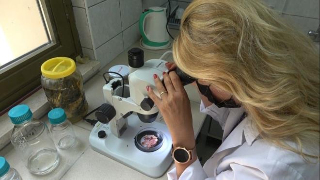 "UZUN VADEDE NASIL BR SORUN OLUTURACAINI ARATIRIYORUZ"    "Bu anlamda baktmzda aslan bal bunun neresindedir, nasl bir yayl gsterir, Akdeniz?deki ekosistemi nasl etkiler, buradaki balk poplasyonlarn nasl etkiler onlar aratrmak zere almalar yapyoruz" diyen Ergene, "Bu bir doktora tezi. Dolaysyla bu anlamda baktmz zaman Dou Akdeniz blgesindeki aslan bal poplasyonu nedir, nerededir, uzun vadede bu blgede nasl bir probleme yol aara bakyoruz" aklamas yapt.    Ergene, "u anda bir problem oluturuyor evet ama daha uzun vadede nasl bir sorun oluturacak bunlar tanmlamak zere bir alma yapyoruz? diye konutu.