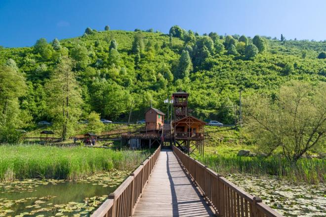 evrede ku trlerinin izlenebilmesi iin 1 adet seyir teras bulunuyor. Kularn g yollarnda, bir mola gl olan Efteni Gl, su seviyesinin dnda nilfer iekleriyle, sazlk alanlaryla kular saklarken fotoraf ve ku gzlemciliine kompozisyon oluturuyor.
