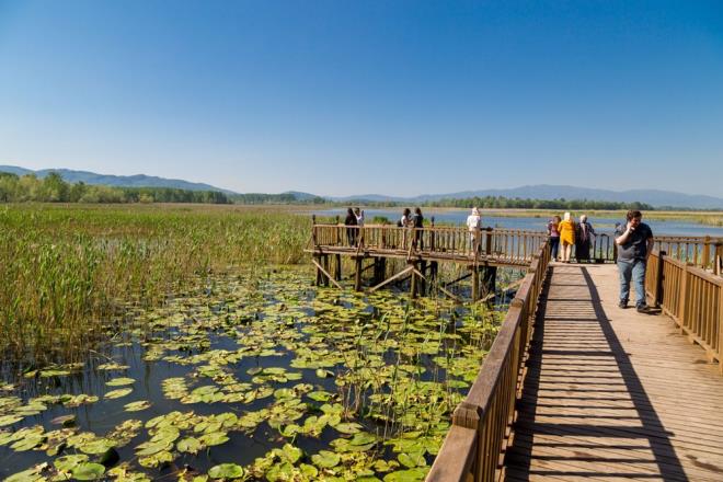 EFTEN KU CENNET    Gmen kularn konaklad sahalardan biri olan Dzce'deki Efteni Ku Cenneti, yaklak 150 trde kua ev sahiplii yapyor.    Leylek, yaban rdei, tepeli beyaz balkl, angut, sakar meke, kuu, sakarca, yeilba, fiyu, bekri, krkn, klkuyruk, kakn, elmaba, pasba, gri balkl, turna, toy, mezgeldek, ulluk, karatavuk, kzkuu, karabatak gibi kularn konaklad blge, ku gzlemcilerinin ve doaseverlerin ilgisini ekiyor.