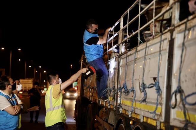 Mecidiye gielerindeki denetimlere katlan stanbul l Tarm ve Orman Mdr Ahmet Yavuz Karaca, yapt aklamada, kurbanlklarn stanbul?a getirilmeye balandn syledi.