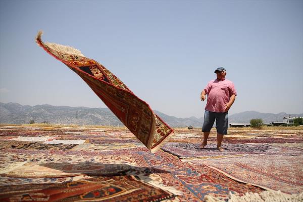 Bata ABD olmak zere dnyann birok lkesine gnderilen hallar, 300 bin dolara kadar alc bulabiliyor.