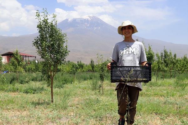 <p>Abdlkadir Ardin, ocukluundan bu yana her zaman doaya kar bir hayranlk duyduunu ve aalarla dolu bir bahe hayalini gerekletirdiini syledi.</p>