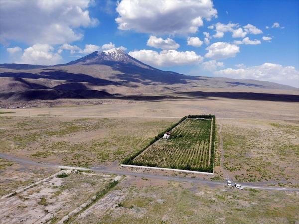 <p><b>"30 yllk kazancmn hepsini bu baheye yatrdm"</b></p>  <p>Ar Da'n ok sevdiini ifade eden Ardin, "Bu baheyi kurmak iin 4 vincimi sattm. 30 yllk kazancmn hepsini bu baheye yatrdm. ok memnunum. Buraya 11 eitten oluan 4 bin 500 aa diktim. Elma, ayva, kays, armut, badem, kiraz, vine, eftali ve erik gibi meyveler yetitiriyoruz." diye konutu.</p>