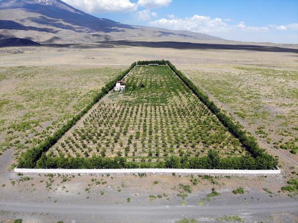 <p>Ardin, "Bu bahede her meyve trnden aalar braktk. Bakmn ve sulamasn yapyoruz ama ierisinden meyve yemiyoruz. zellikle turistler Ar Da zirve trman sonras gelip baheyi geziyorlar." ifadelerini kulland.</p>