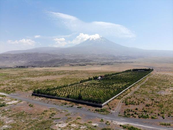 <p>Blgede sondaj yaparak su bulan Ardin, daha sonra kum frtnas ve rzgarn youn olduu blgede arazisinin etrafn ta duvar rerek kapatt.</p>