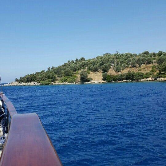 4 koyu olan ve mavi tur rotasnda bulunan adayla ilgili teklifler geldiini, geen yl 3 teklif aldklarn belirten Uur zcan, rakamn istenen miktara dahi yaklaamadn syledi.