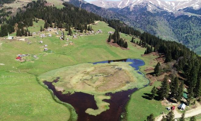 Ziyaretilerini, yemyeil ayrlarn ortasndaki glyle kendisine hayran brakan Glyan Yaylas'nn sakinleri, hayvanlar ile kyden buradaki evlerine g etmeye mays aynda balyor. Bir sre buradaki evlerinde konaklayan vatandalar, ardndan daha st rakmdaki yaylalara g ediyor.