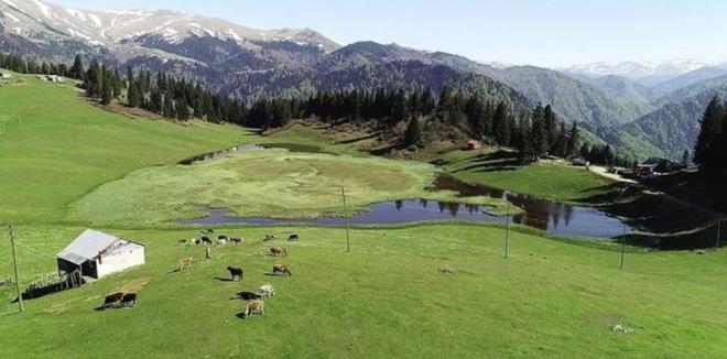 Yaldere Belediye Bakan Yaar ba, yapt aklamada, Glyan Yaylas'nn Karadeniz'in el dememi bakir noktas olduunu syledi.    Yaylann, "kesin korunacak hassas alan" olarak tescil ve ilan edilmesinin, istedikleri bir karar olduunu belirten ba, "Yayla sit alan vasfn koruyor, kesinlikle yaplamaya msaade edilmiyor. Sayn Cumhurbakanmza, milletvekillerimize, bu iin peinde koan tm arkadalarmza teekkr ediyoruz" dedi.    ba, herkesi Glyan Yaylas'n grmeye davet ederek, "nsanlar ziyaret ettiklerinde bizim ne demek istediimizi anlayacaklar" diye konutu.