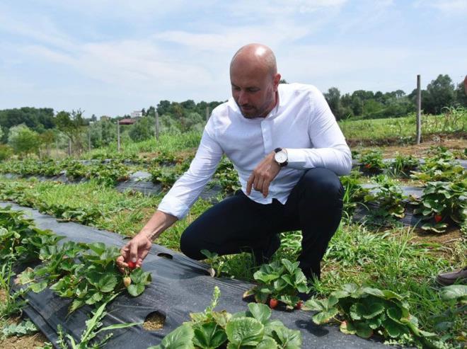 nsanlarn retim yaparak kendi ilerinin patronu olabileceini dile getiren Hasan Togar, unlar syledi:  <br>  ?lemizde oluturulan ilek tarlasna gelen vatandalar ocuklaryla birlikte ilek topluyorlar. Burada olduu gibi 100?lerce iftimize ilek verdik. Bu destekler srekli olarak devam edecek. Bizim iin bu saatten sonra Tekkeky?n ile snrlar ierisinde her evin balk tutmay renebilecei unsurlarla donatp, her trl destei verip, bu ileyi daha mutlu ve huzurlu ile haline getirmek istiyoruz. Bundan 15-20 yl nce Tekkeky?de retilen ana rn ttnd. Daha sonra buday, msr ve fndk retildi. ?Adam dikseniz byr? denilen topraklarda insanlarn bir asgari cretli i abasn ok da fazla dert edinmemeleri, ok daha keyifle kendi ilerinin patronu olarak kazan salayabilirler. Bu ilek tarlasnda grld gibi ehirde yaayp da belli bir standardn zerinde olan insanlar bile ilemizde ilek retmeyi tercih ettiler. Bizim bu blgede yaayan, 1 dnm dahi yeri olan herkese rnek olmas gereken bir durum.?