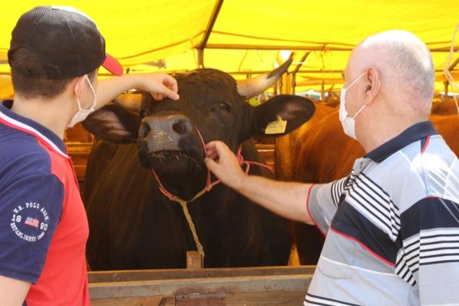 PAZARIN GZDES SATILDI<br>  Pazarn en ar tosununu 30 bin liraya satan Halil brahim Grses de ?Tosun 1 ton 200 kilo, 3 yanda. 30 bin liraya sattk. Tosunu Sivasl Metin amca ald, 7 hisse yapacan syledi. 22 hayvan getirdik, 7?si kald dierleri satld? diye konutu.