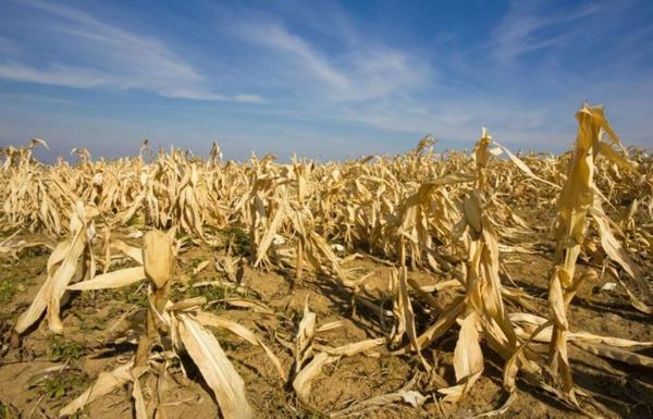 Herrington, nfus, endstriyel retim ve kalc kirlilik gibi 10 temel deikeni inceledi. Mevcut i modellerinin gelecek on yl iinde ekonomik bymede kresel bir de yol aacan kefetti.
