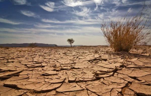 Foster?n bulgular 1940'lara kadar hzla artan ve ardndan 2020'ye kadar tekrar bir ykseli grp azalan yaam kalitesini ieriyordu. Bununla birlikte, model 2020'yi medeniyet iin bir dnm noktas olarak da tanmlad.