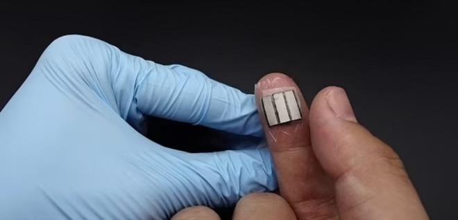 PARMAK ULARI VCUDUN EN OK TERLEYEN BLGES  <br>  Dier taraftan, aratrmaclara gre parmak ular, vcuttaki en yksek ter bezleri konsantrasyonlarndan birine sahip ve her bir parmak, dier alanlarn oundan 100 ile 1000 kat daha fazla ter retiyor.