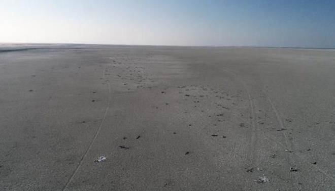 "LMLERDEN SONRA FLAMNGOLAR GELMEYEBLR"    Besin kaynaklarnn tkenmesiyle yaanan lmlerin ardndan flamingolarn Tuz Gl?ne gelmekten vazgeebileceini kaydeden Arslan, ?Bu lmlerden sonra flamingolar Tuz Gl?ne gelmekten vazgeebilirler. Bu 1-2 yl ierisinde olmayabilir ama ya rejiminin bu ekilde dk gemesi uzun vadede dnld zaman canllarda bir uyum sreci vardr" dedi.    Arslan, "Yavrulama dneminde besini ne kadar ok bulabilirlerse o blgeyi tercih etme ynnde bir tercihe girerler nk nesillerini devam etmek zorundalar. Ksa vadede olmasa da uzun vadede bir baka yne gidebilirler? diye konutu.