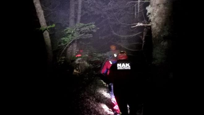 obankaya mevkisinde ailesiyle birlikte piknik yapan Glefer Boynuksa (59), le saatlerinde odun toplamak iin ormana girdi.