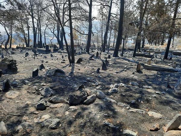 Mezarlkta kabri bulunan ehit Dikmen'in kabri ve Trk bayrann zarar grmemesi ise dikkati ekti. Tunceli'nin Nazmiye ilesinde Ekim 2018'de olumsuz hava koullarndan etkilenerek ehit den Dikmen'in kabrini ziyaret eden vatandalar dua etti.