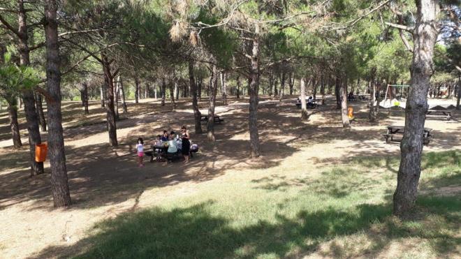 "PKNK NEML DEL"  Ailesi ile birlikte piknik yapmaya gelen Hasan aner, "Haberimiz yoktu. Piknik iin gelmitik. lkenin durumu da ortada. Genel bir talimat geldiini sylediler, anlk gelien bir ey galiba. Bizim ieri girip girmememiz nemli deil. Piknik yaplp yaplmamas ok da nemli deil" eklinde konutu.