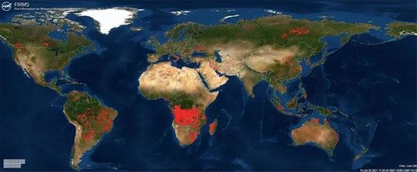 6 ehirde yangnlar sryor<br>  Bununla birlikte, FIRMS araclyla Trkiye?deki yangnlar da takip etmek mmkn. Trkiye, son bir ka gndr,  birok noktada orman yangnlaryla mcadele ediyor. Aralarnda Antalya, Adana, Mersin, Mula, Osmaniye ve Kayseri?nin bulunduu 6 kentte alevlere mdahale sryor.