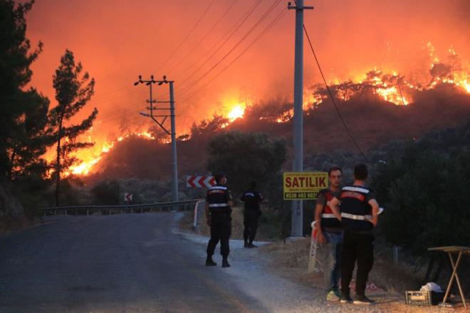 Beyciler Mahallesi'ndeki ormanl�k alanda ba�layan yang�n, r�zgar�n etkisiyle k�sa s�rede yay�ld�.