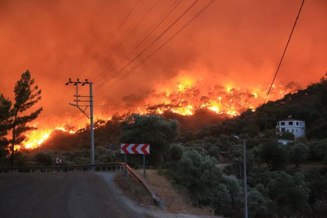 Mu�la'n�n Milas il�esinde, ormanl�k alanda ��kan ve yerle�im yerlerine s��rayan yang�n, kontrol alt�na al�nmaya �al���l�yor.