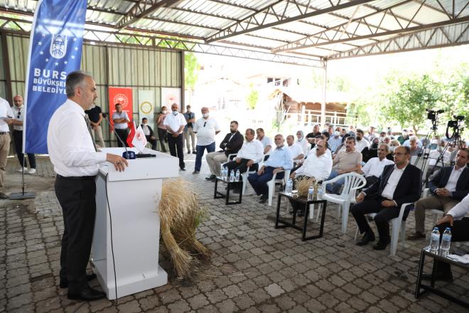 Bursa?nn da ilelerinde nitelikli tarm yaplarak hem iftinin daha fazla kazanmasn hem de yrenin kalknmasn amalayan Bykehir Belediyesi, getiimiz yl Orhaneli, Keles ve Bykorhan'da organik siyez buday ve rek otu yetitiriciliine verdii desteklerin karln grmeye balad. Her alanda iftinin yannda olan Bykehir Belediyesi, Keles ilesi Yazba mahallesinde 'Organik Siyez buday' ve rek otu' hasadn balatt. Trene Bykehir Belediye Bakan Alinur Akta'n yan sra Bursa Milletvekili Osman Mesten, Keles Belediye Bakan Mehmet Keskin, Harmanck Belediye Bakan Ylmaz Ata, AK Parti l Bakanvekili Mustafa Yavuz, l Tarm ve Orman Mdr Hamit Aygn, muhtarlar ve reticiler katld. Treninde sonunda Bakan Alinur Akta ve beraberindekiler, rekotu ayklama nitesi tesislerini gezerek reticilerden bilgi ald. Daha sonra rek otu ve siyez buday tarlalarna geerek hasad balatan Bakan Akta, traktre binerek rek oto skm de yapt.&#8232;