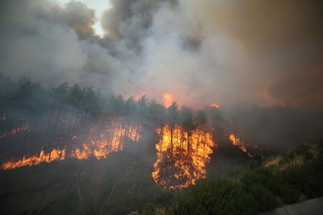 Trkiye'nin orman yangnlaryla mcadelesi devam ediyor. Ekipler, zorlu arazi ve hava artlarna ramen alevlerle gs gse mcadele ediyor.