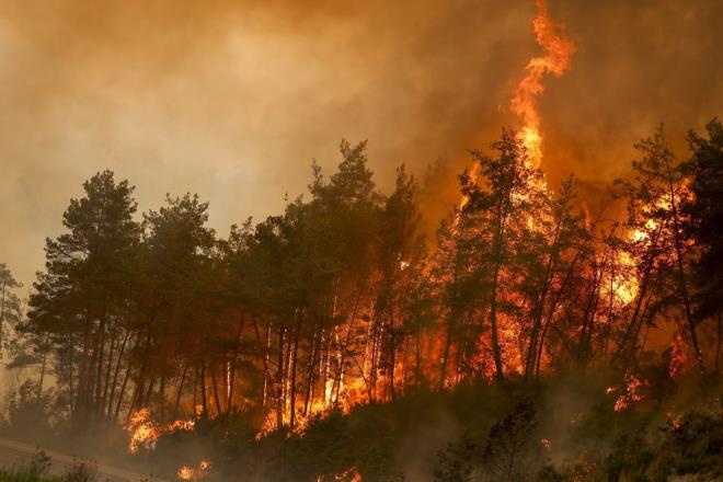 Antalya'nn Manavgat ilesindeki ormanlk alanda yangna mdahale eden bir arazz ekibinin ykselen alevlerin arasnda yaadklar zor anlarn yansd telsiz konumalarnda, bir iinin son dakikaya kadar blgeden ayrlmayacaklarn sylemesi, sahadaki mcadeleyi gzler nne serdi.