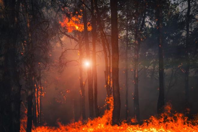 BAHENZDE ATE YAKARKEN KONTROLL OLUN    Evsel atklar yakarken yerel ynetmeliklere uyun. Rzgarl koullarda arka bahede ate yakmaktan kann ve alevleri kontrol altnda tutmak iin yaknlarda bir krek, su ve yangn tp bulundurun.
