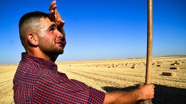 "Yksek scaklk ve rzgarn etkisi yangnlarn byk alanlara yaylmasna neden oldu"    Trkiye'nin baz blgelerinde kan yangnlara deinen Aslan, artan scaklklarn, rzgar iddeti ve ynnn yangnlarla mcadeleyi zorlatrdn ifade etti.