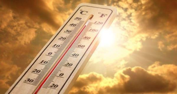 Aslan, "Yksek scaklk ve rzgarn etkisi maalesef yangnlarn ok byk alanlara yaylmasna neden oldu." dedi.