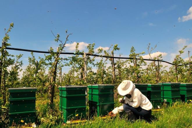 Aratrmann yrtcs Dr. Harry Siviter, "ok sayda kimyasala maruz kalmak istisnadan ziyade bir norm" dedi.