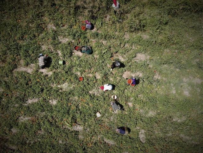 "MARKETTE FAH FYATA SATILIYOR"  Domates fiyatlarnn sadece tarlada ucuz olduunu belirten Ersin Demir, "Bizden yok pahasna alnan domates pazarda ve marketlerde sala ve domates olarak fhi fiyatla satlyor. Bunu anlam deiliz" eklinde konutu.