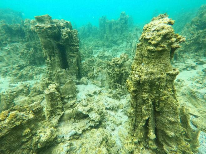 "Turizme katk sunacan dnyorum"  <br>  Belgesel yapmcs Keskin ise Adilcevaz Kltr Sanat ve Turizm Dernei'nin davetlisi olarak geldii ilede, yeni tespit edilen mikrobiyalitleri grntlemek iin dal gerekletirdiklerini syledi.
