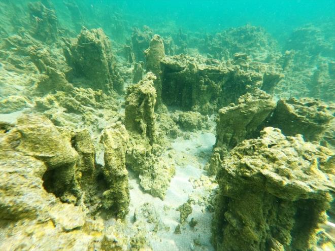 "Glde potansiyel hidrojen seviyesi 9.8 civarnda. Yani gln suyu alkali karakterde. Gln tabanndan kan tatl sularla birleen alkali karakterdeki su kelmeyi oluturuyor. Burada siyanobakteriler faaliyete geerek dnyann en byk mikrobiyalitleri meydana geliyor. Gln altnda 20-40 metre boylarnda aa gibi yaplar dnn. Dnyann en byk mikrobiyalitleri Van Gl'nde. Van Gl dalseverler asndan en bakir alanlardan biri ve farkl yaplarn grlebilecei ender ekosistemlerin banda geliyor. Uzun yllardr Van Gl'nn gzelliklerini ortaya karmak iin ekibimizle dallar gerekletiriyoruz. u anda bulunduumuz Adilcevaz'n kysndaki mikrobiyalit alan da aa kmay bekleyen gizemli alanlardan biri. Suyun altnda inanlmaz bir gzellik var. Bu gzellii grmek iin lkemizdeki dalseverleri Van Gl'ne bekliyoruz."