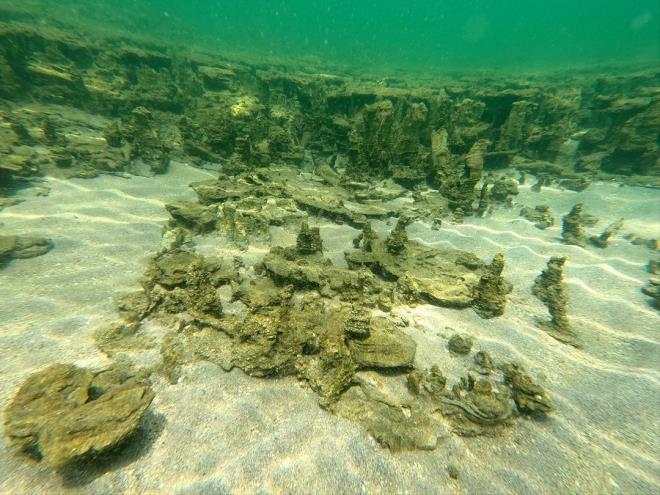 Farkl alanlarda almalarnn devam ettiini aktaran Birol, "Van Gl iin ne kadar emek ve aba sarf etsek az. Bugn ekilsel olarak farkl bir mikrobiyalit tespit ettik. Bununla birlikte glde 3 farkl mikrobiyalit kefettik. Gle sahip kmamz gerekiyor. Dallarmz devam edecek. Tespit ettiimiz mikrobiyalitlerin aratrlmas yaplacak." diye konutu.