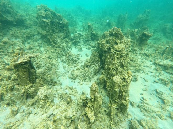 Van Gl'nn, ekstrem su kalitesiyle dnyann en esiz ekosistemlerinin banda geldiini vurgulayan Akku, yle konutu: