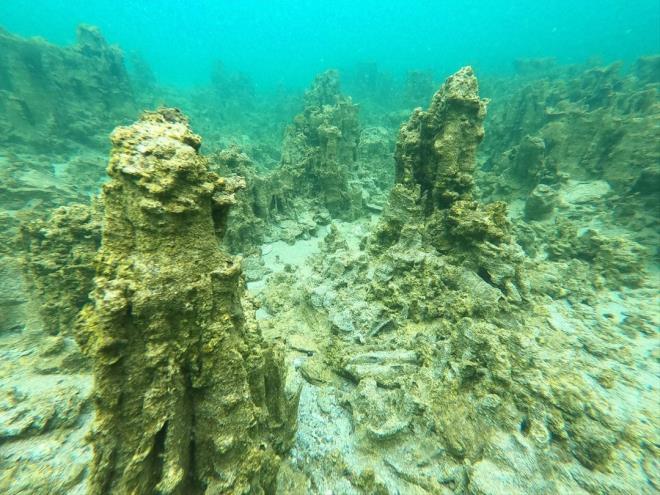 Uzayda bir gezegendeymisiziniz hissi  <br>  "Birok blgeden grnt aldm ancak buradaki mikrobiyalitler ok farkl. Sanki uzayda bir gezegende gibiymisiniz hissini veriyor." diyen Keskin, yle devam etti: