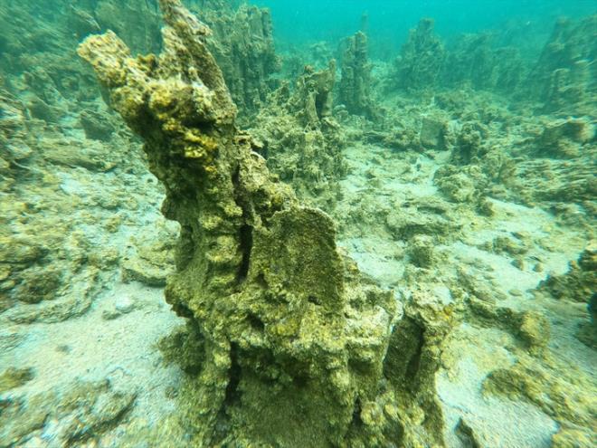 "leride su alt fotorafl ve film ekimleri iin ok gzel bir yer olacak. Turizme gzel katk salayacan dnyorum. Mikrobiyalitler hemen sdan balyor. 6 metre kadar gittik. 6-7 metre geniliinde bir sra mikrobiyalit, arkasndan kumluk blge var. Sonra tekrar kademe kademe mikrobiyalitler devam ediyor."
