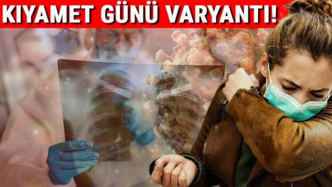 lk olarak 2019'un son gnlerinde in'in Wuhan kentinde ortaya kan ve buradan dnyaya yaylan koronavirs (Kovid-19) gezegenimizin bir numaral ortak gndemi olamaya devam ediyor. Virs dnya genelinde 200 milyondan fazla insana bulat, 4 milyondan fazla kii ise virsn kurban oldu.