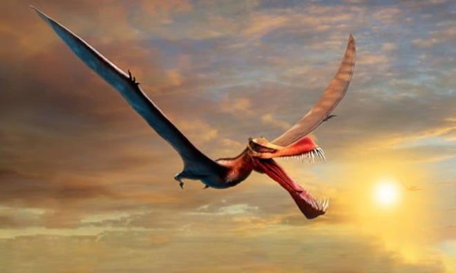 Journal of Vertebrate Paleontology adl bilimsel dergide yaymlanan bir almada, Avustraya'da  kefedilen yeni teruzor trnn detaylar akland.    Queensland niversitesi'nden doktora aday Tim Richards, aratrma kapsamnda UQ'nun Biyolojik Bilimler Okulu'ndaki Dinozor Laboratuvar'ndan bir aratrma ekibine liderlik etti.