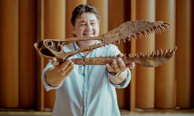 Richards, aratrmaclarn ksmi bir ene kemiini dier teruzor fosilleriyle karlatrarak rnein oranlarn tahmin edebildiklerini ve bunun tamamen yeni bir tr olduunu tespit edebildiklerini syledi.    Bilim insanlar, dev fosilin bir metre uzunluunda, sivri bir buruna, 7 metre aklnda uzun kanatlara ve ksa arka bacaklara sahip olduunu ortaya koydu.