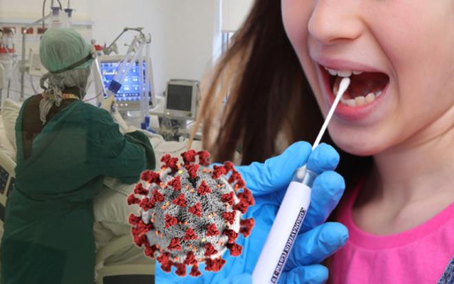 Dnya genelinde 200 milyonda fazla kiiye bulaan koronavirs (Kovid-19) 4 milyonun zerinde insann canna mal oldu. Virs dnyann bir numaral ortak gndemi olmaya devam ederken, her gn yeni gelimeler ile karmza kyor.